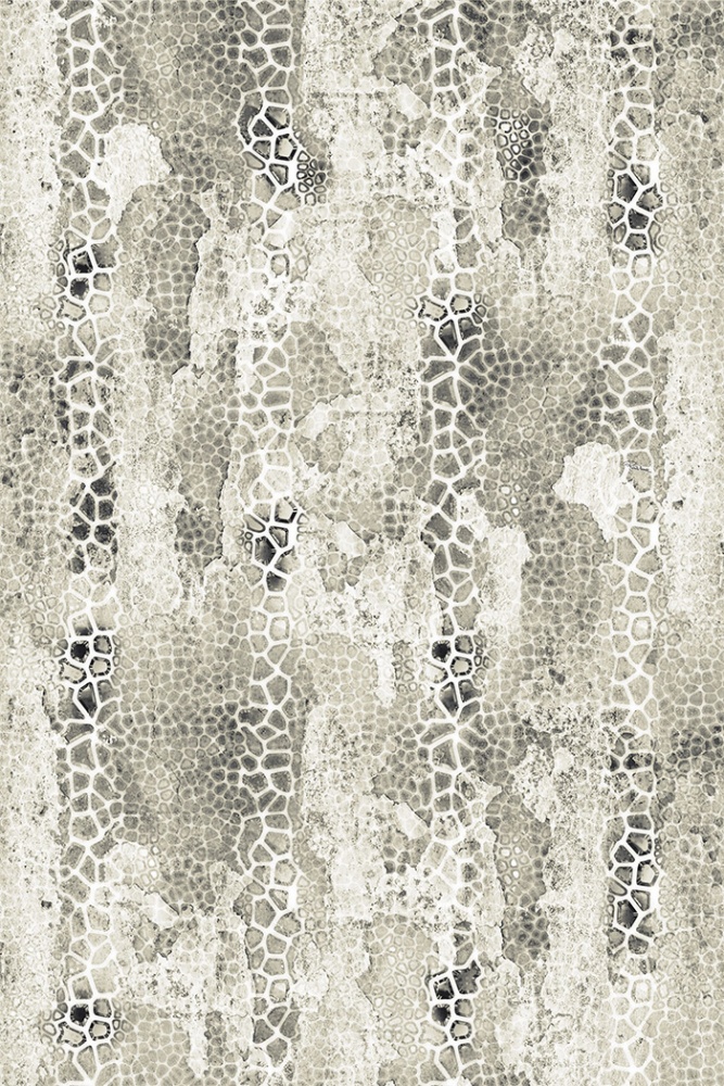 16207
