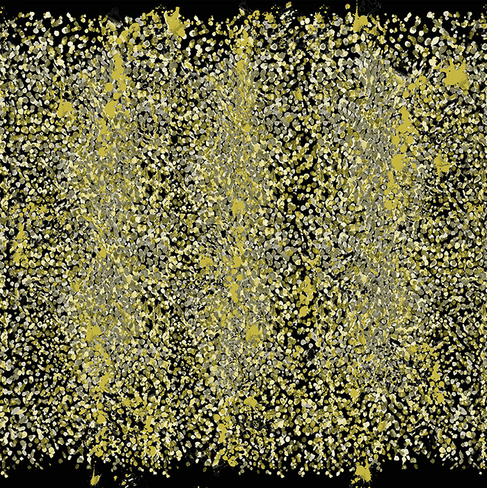 16209