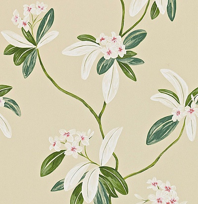 212130 Oleander Rose/Cream
