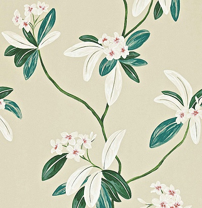 212131 Oleander Orange/Teal