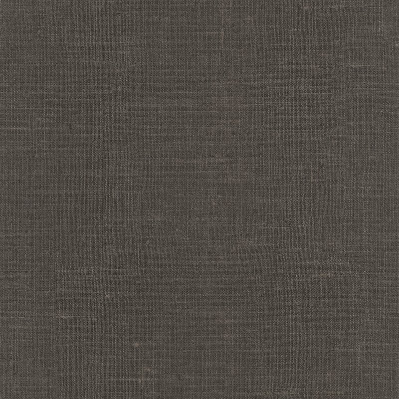 51195409