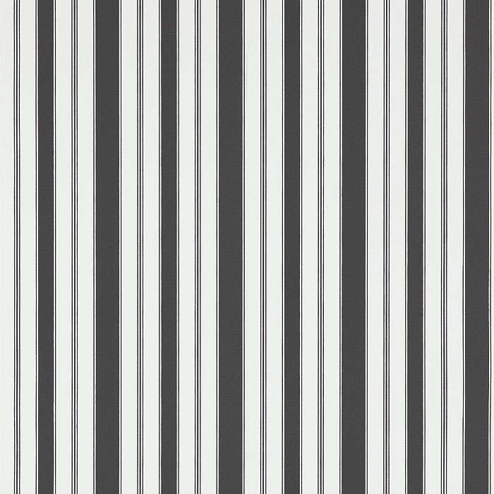 214581 Cecile Stripe Ebony