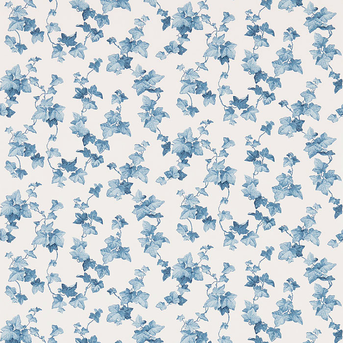 214594 Hedera Indigo